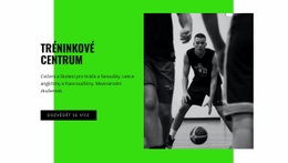 Tréninkové Centrum Basketbalu – Web Se Stažením Šablony HTML
