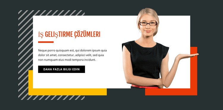 İş Geliştirme Web Sitesi Mockup'ı