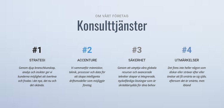 Företag och kommunikation CSS -mall