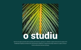 O Studiu Džungle – Responzivní Šablona Webu