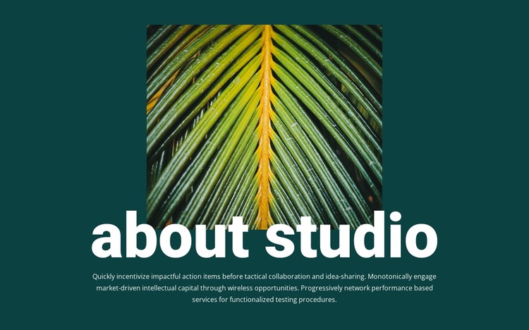 About jungle studio CSS Template