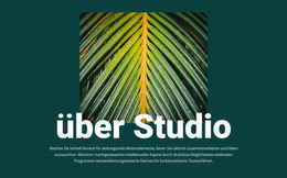 Über Dschungelstudio - Benutzerdefiniertes Website-Design