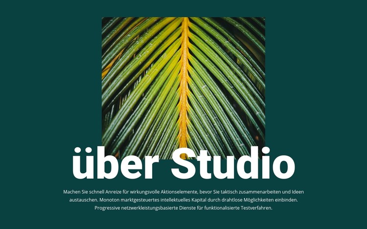 Über Dschungelstudio WordPress-Theme