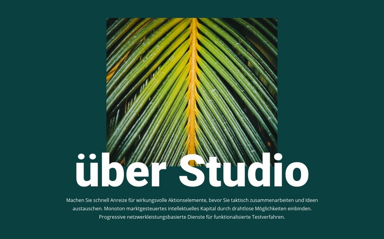 Über Dschungelstudio Landing Page