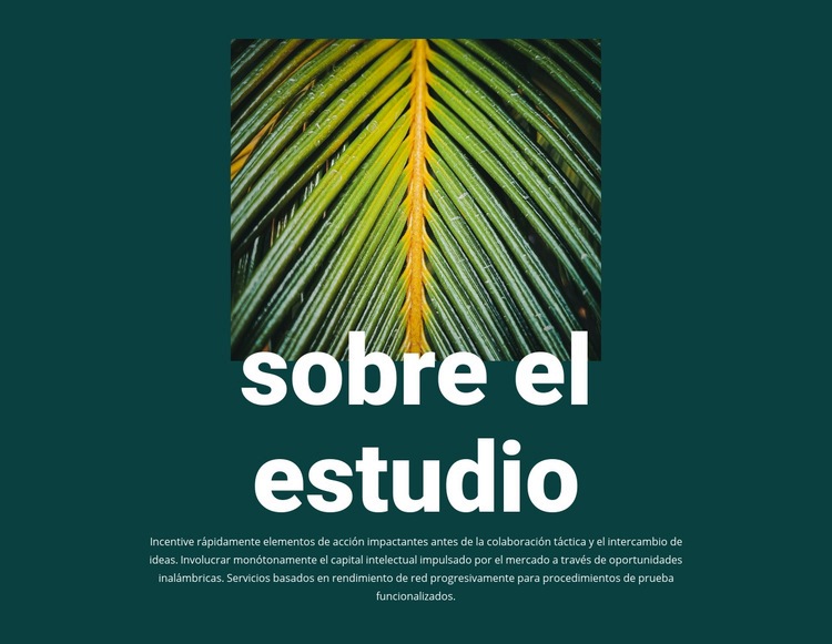 Acerca de jungle studio Maqueta de sitio web
