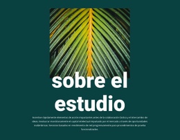 Acerca De Jungle Studio: Plantilla De Página HTML