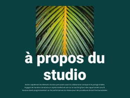 À Propos De Jungle Studio - Online HTML Page Builder