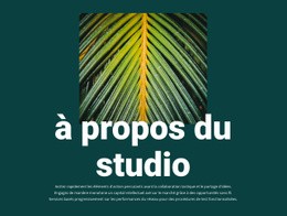 À Propos De Jungle Studio - Maquette De Site Web Réactive