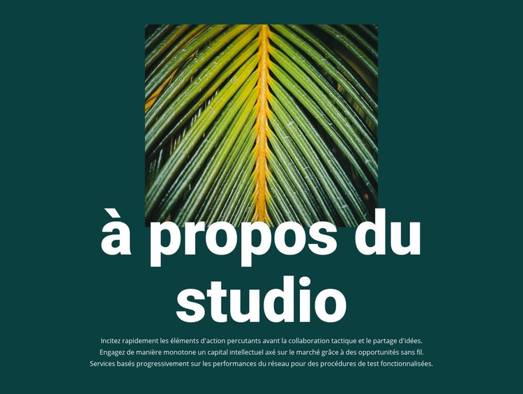 À propos de Jungle Studio Maquette de site Web