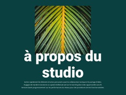 À Propos De Jungle Studio