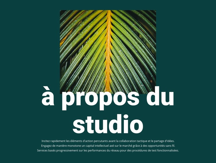 À propos de Jungle Studio Modèle HTML5