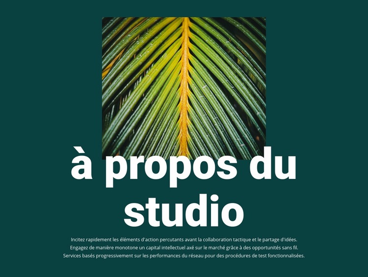 À propos de Jungle Studio Modèle Joomla