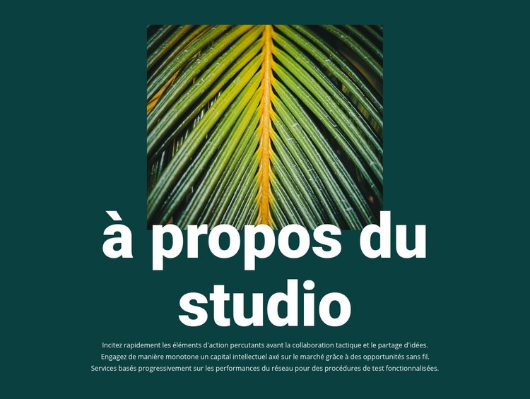 À propos de Jungle Studio Page de destination