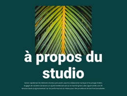 Meilleur Thème WordPress Pour À Propos De Jungle Studio