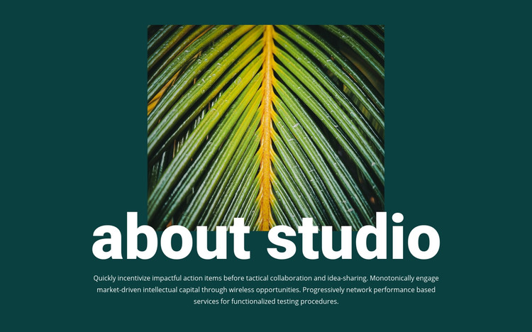 About jungle studio Homepage Design