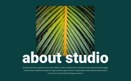 HTML Code For About Jungle Studio