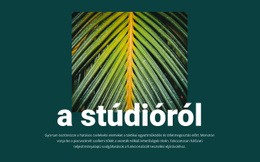 A Jungle Stúdióról – Reszponzív Webhelysablon