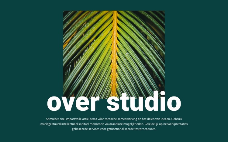 Over jungle studio CSS-sjabloon