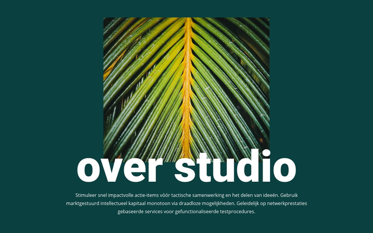 Over jungle studio Html Website Builder