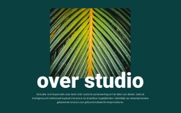 Over Jungle Studio - Landingspagina