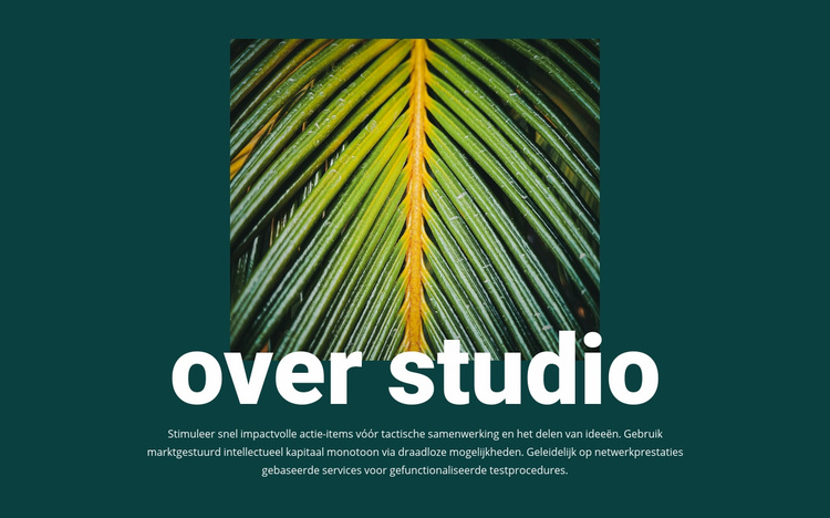Over jungle studio Website mockup