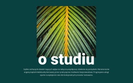 O Studio Jungle – Kreator Witryn