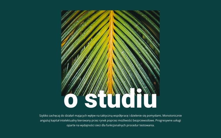 O studio jungle Szablon CSS