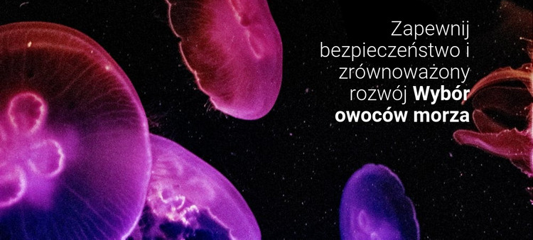 Wybór owoców morza Szablon Joomla