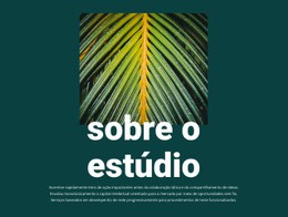 Sobre O Jungle Studio - Página Inicial De Comércio Eletrônico