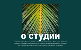 Адаптивный HTML5 Для О Студии Jungle