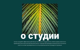 О Студии Jungle – Адаптивный HTML-Шаблон