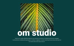 Om Djungelstudio - Målsida