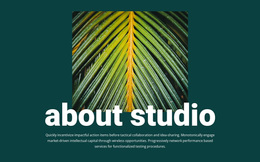 About Jungle Studio - Landing Page