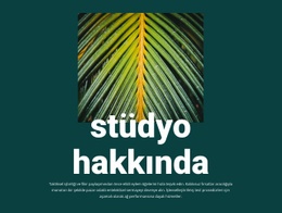 Jungle Studio Hakkında - Online HTML Page Builder