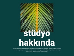 Jungle Studio Hakkında - Site Oluşturucu