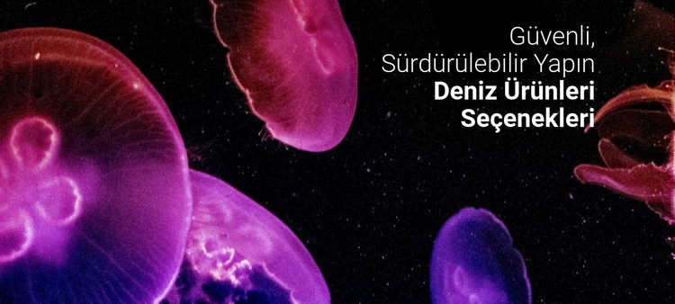 Deniz ürünleri seçenekleri Web Sitesi Oluşturucu Şablonları