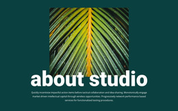 About Jungle Studio