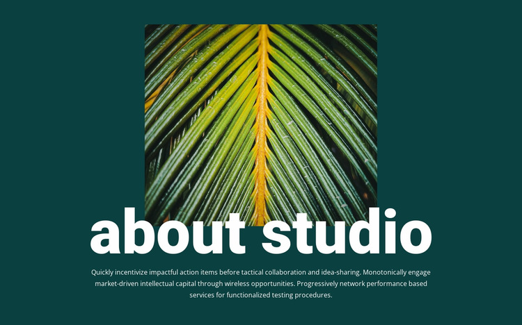 About jungle studio Website Builder Templates
