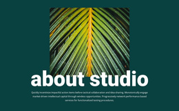 About Jungle Studio - Custom Website Design