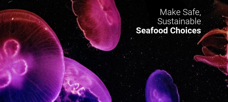 Seafood choices Website Mockup