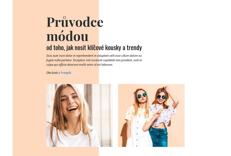 Průvodce módou Webový design