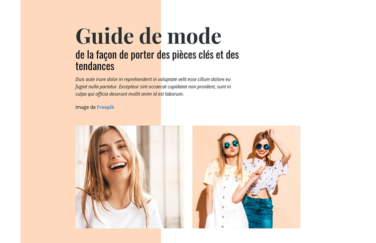 Guide de mode Thème WordPress