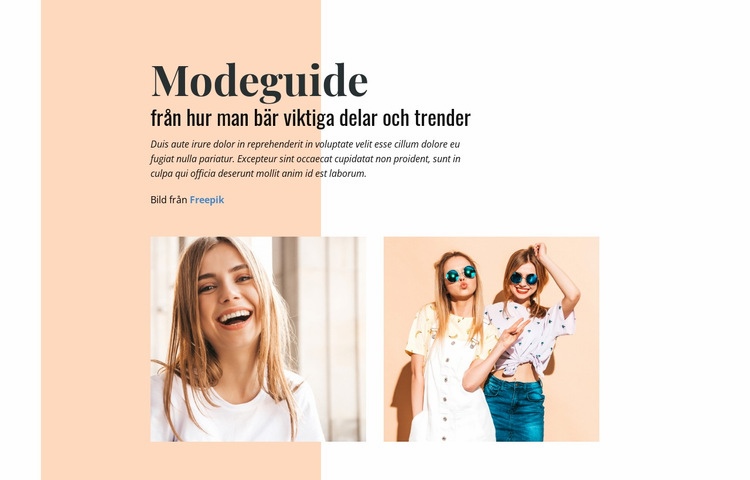 Modeguide Webbplats mall