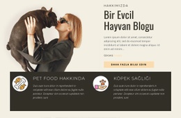 Bir Evcil Hayvan Blogu