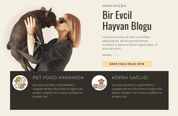 Bir Evcil Hayvan Blogu - WordPress Ve WooCommerce Teması