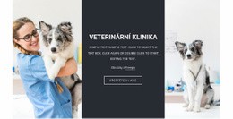 Veterinární Služby – Bezplatná HTML Šablona