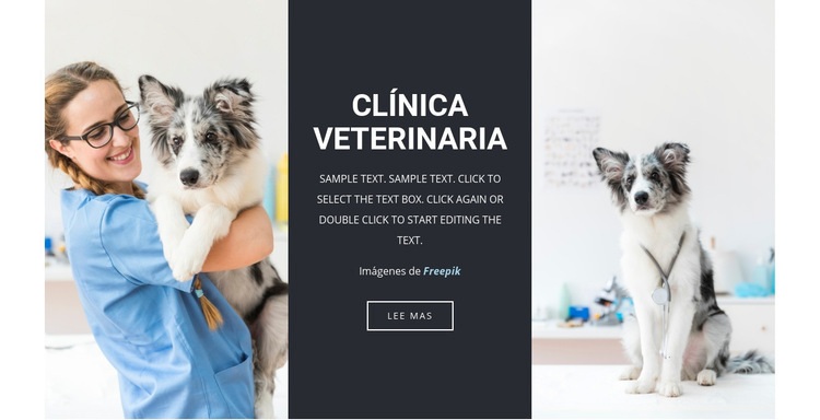 Servicios veterinarios Maqueta de sitio web