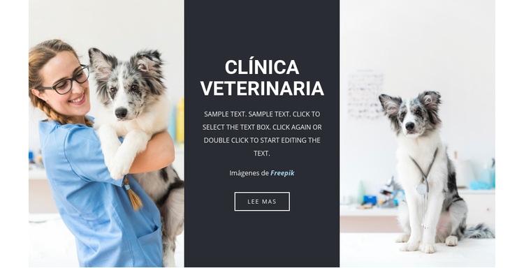 Servicios veterinarios Página de destino