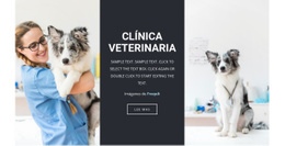 Servicios Veterinarios Plantilla