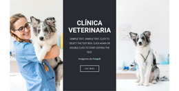 Servicios Veterinarios